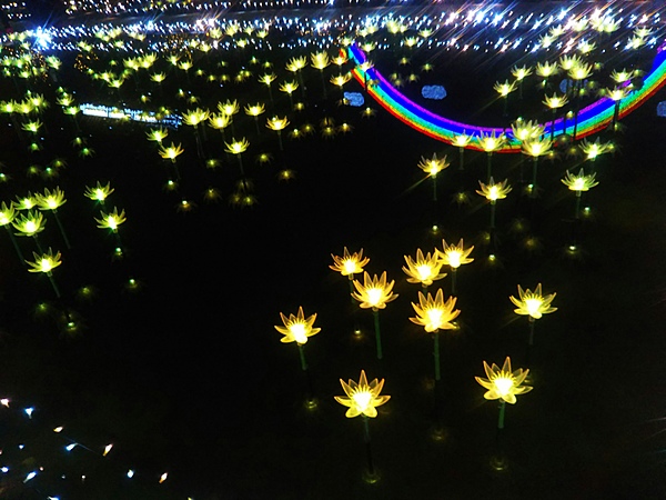 いとの写メ日記画像