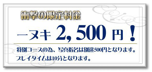 衝撃の限定料金 ヌキ2,500円！